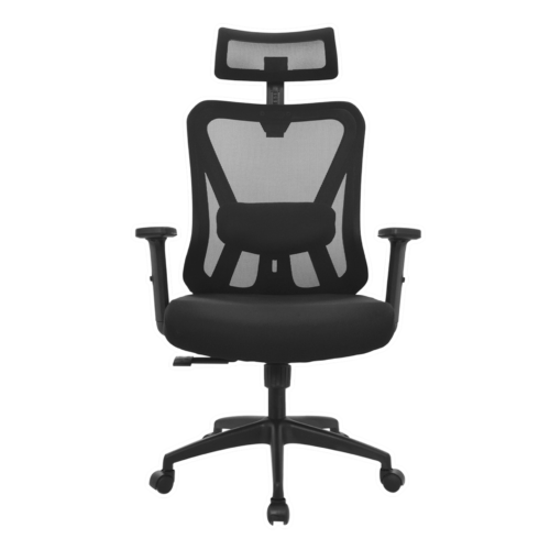 1-DOLFIN-PRESIDENTE-F