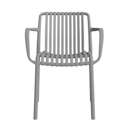 1 – NARD – CON BRAZOS – GRIS – F