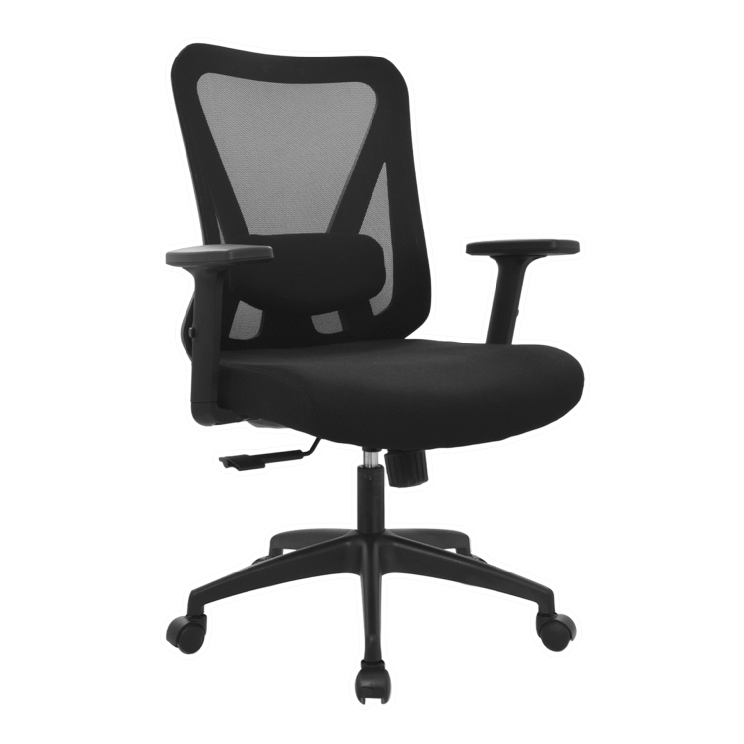 2-DOLFIN-GERENTE-FCD