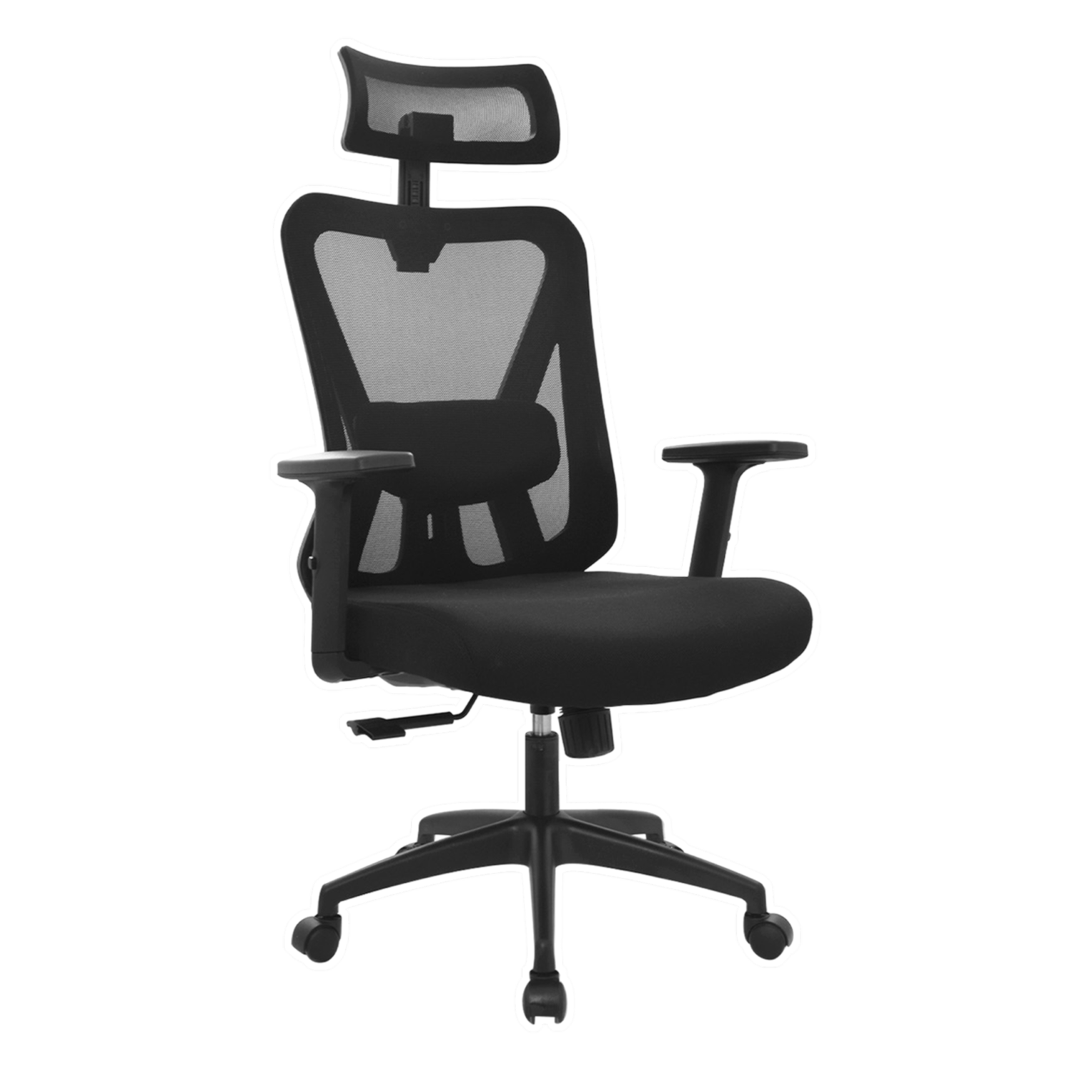 2-DOLFIN-PRESIDENTE-FCD