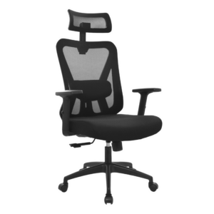 Silla Dolphin presidente