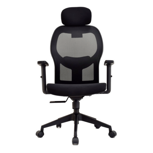 NORUEGA-PRESIDENTE-FRONTAL