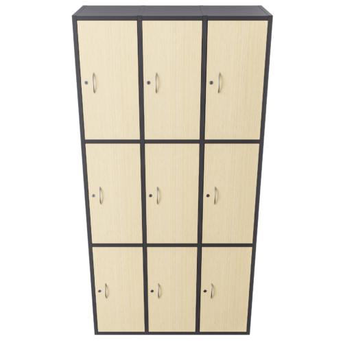 Casillero 9G – Alpi claro – Negro micro V2